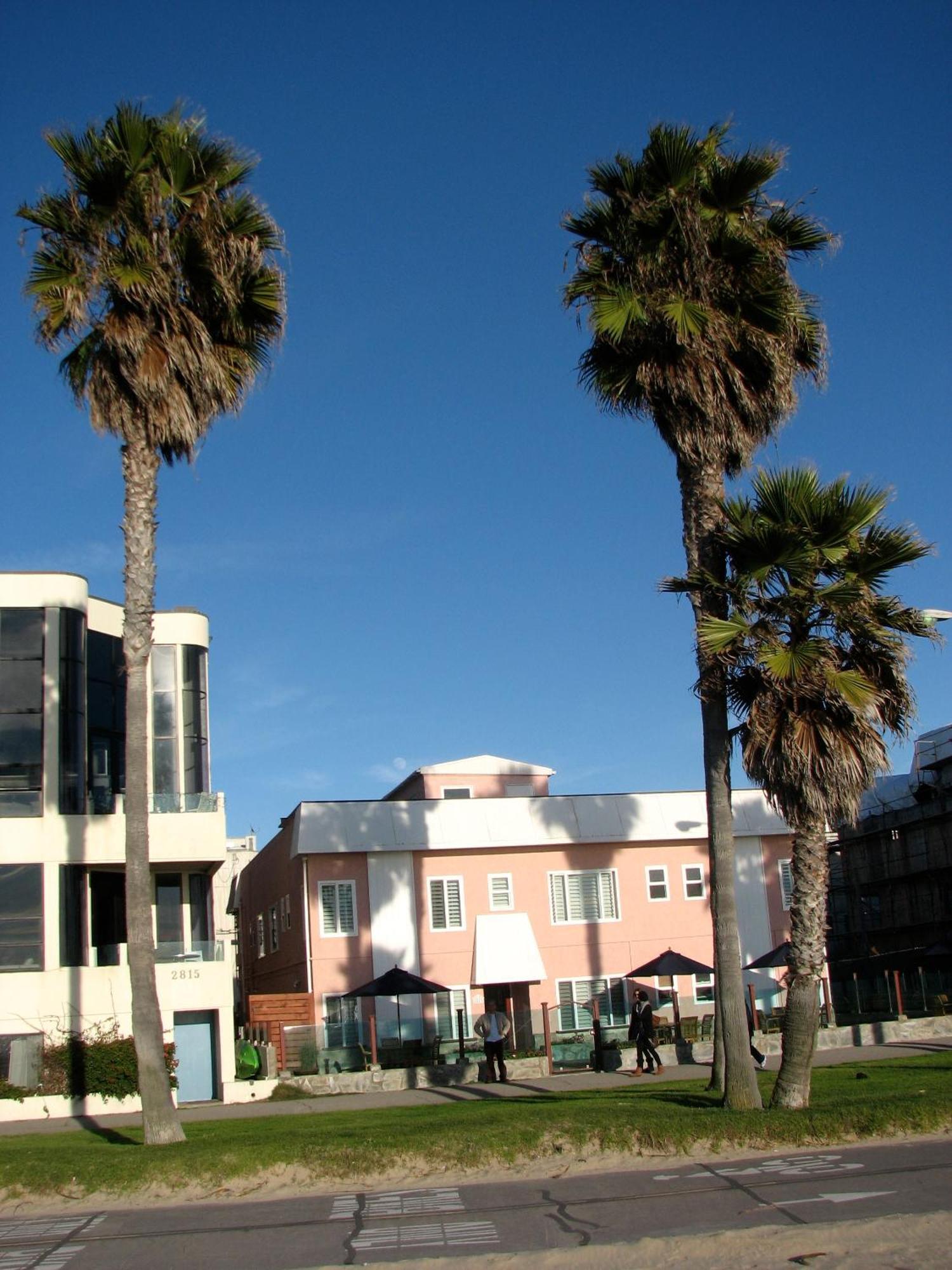 Venice On The Beach Hotel Los Angeles Exteriér fotografie